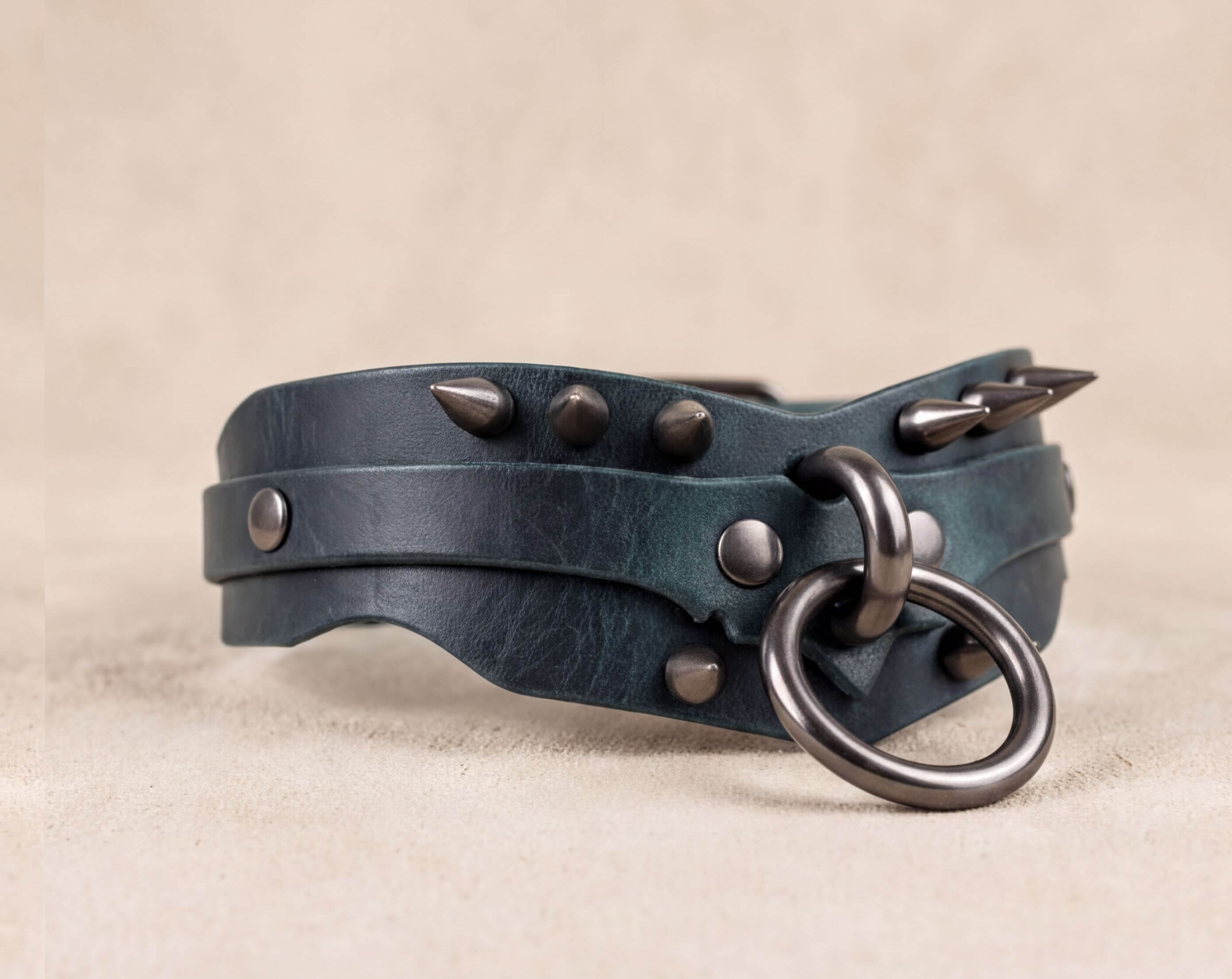 A close-up image of a leather collar with metal studs and a metal ring.