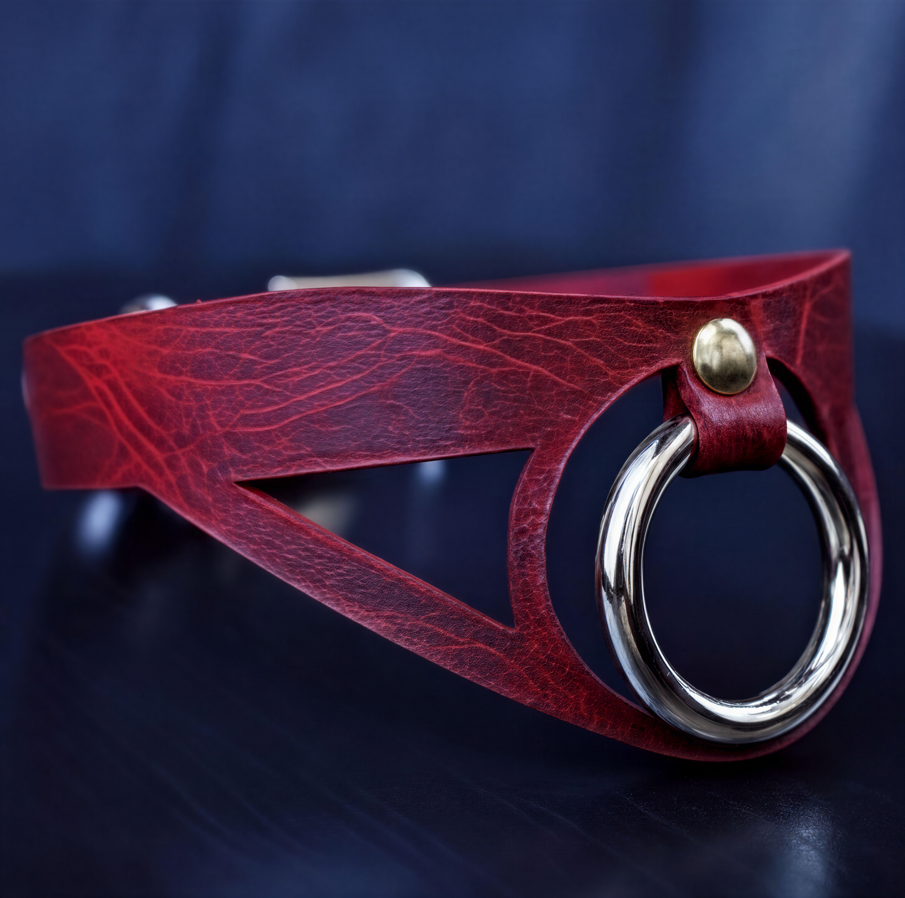 A red leather choker necklace with a metal ring and a gold-colored buckle.