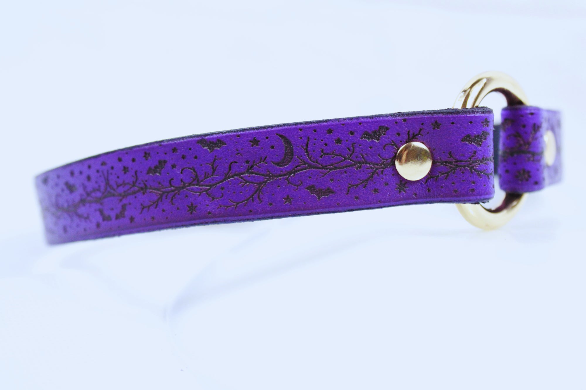 A purple leather collar with a gold buckle and a starry night sky design.