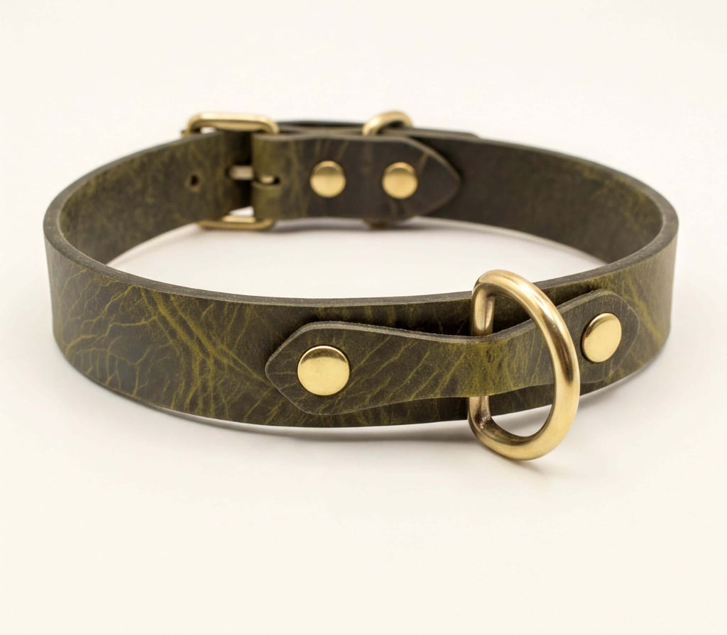 A dark green leather dog collar with a brass buckle and two brass studs.