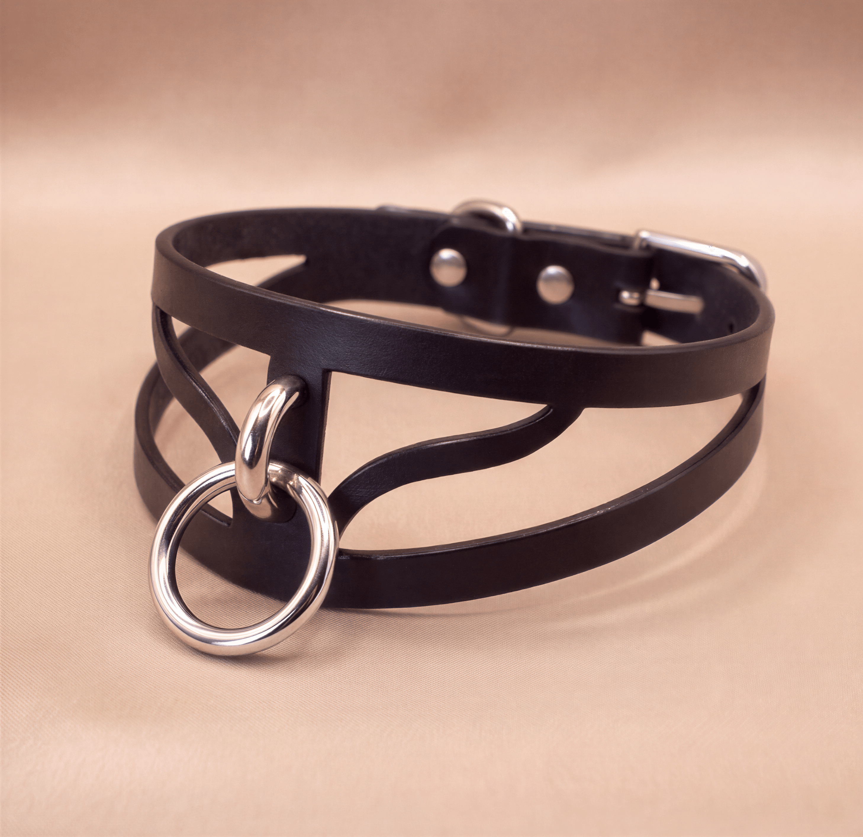 A black leather choker necklace with a silver ring and buckle.