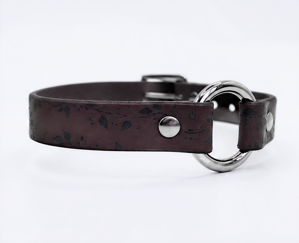 A brown leather collar with a silver ring and buckle.