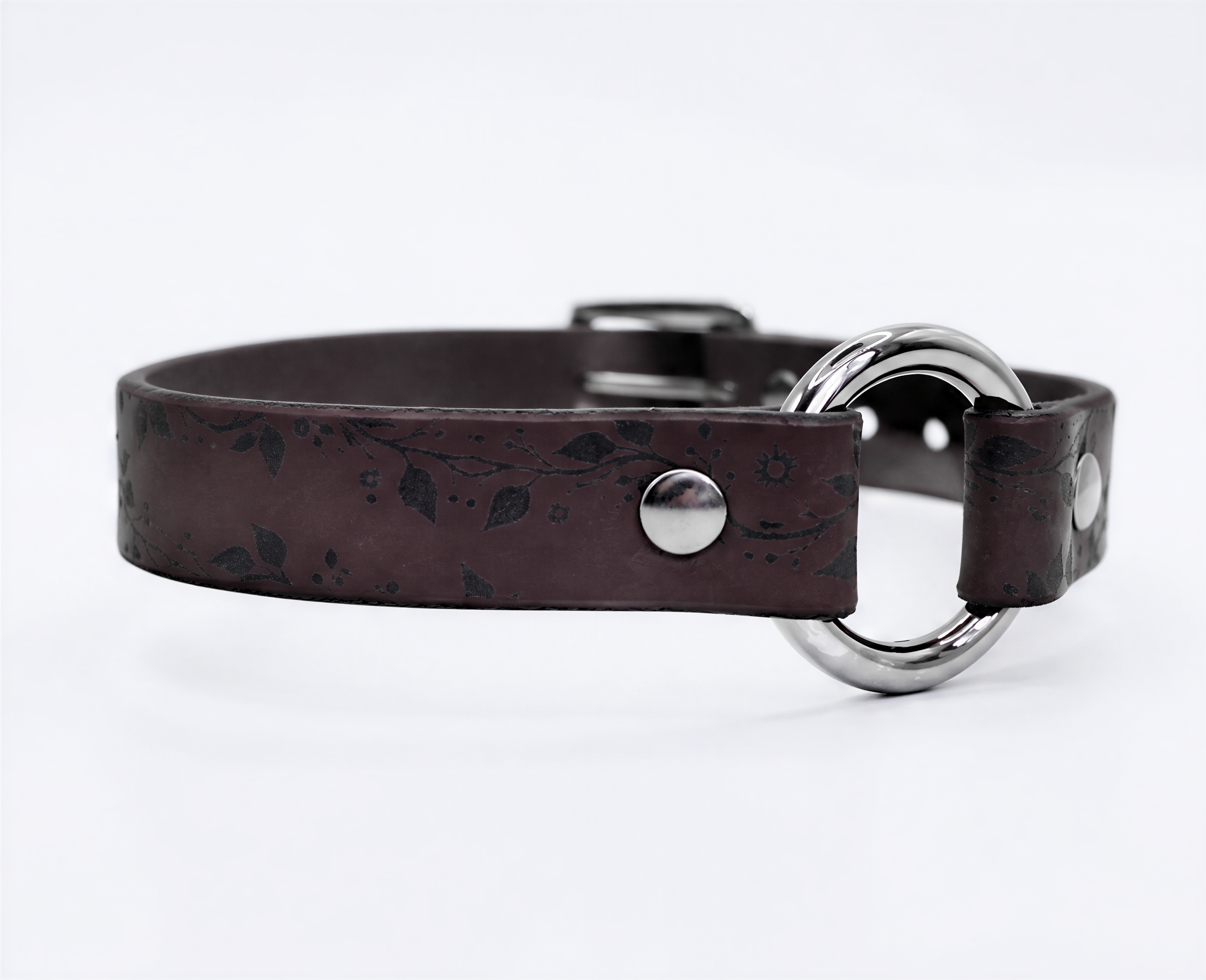 A brown leather collar with a silver ring and buckle.
