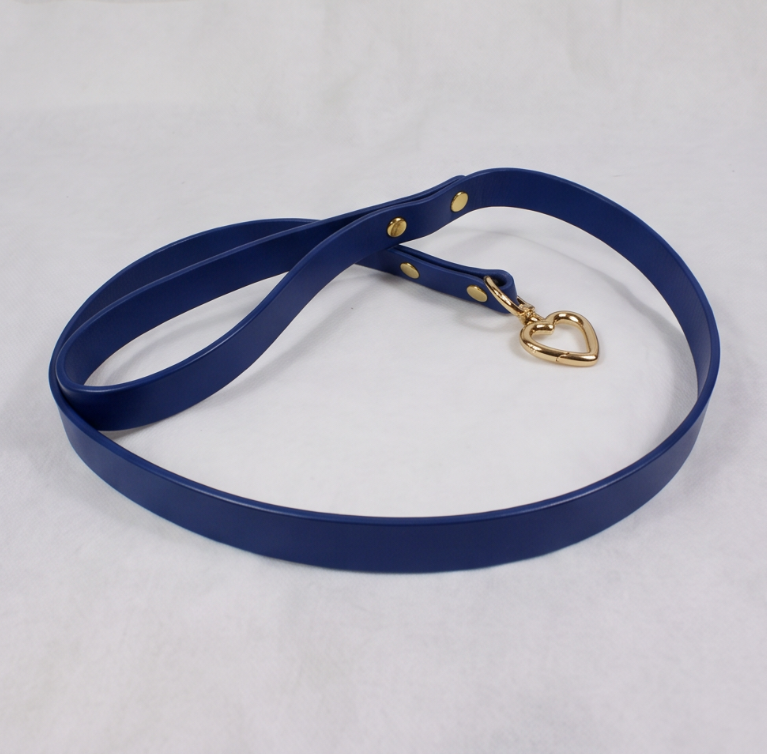 A blue leash with a gold heart-shaped charm attached to it.