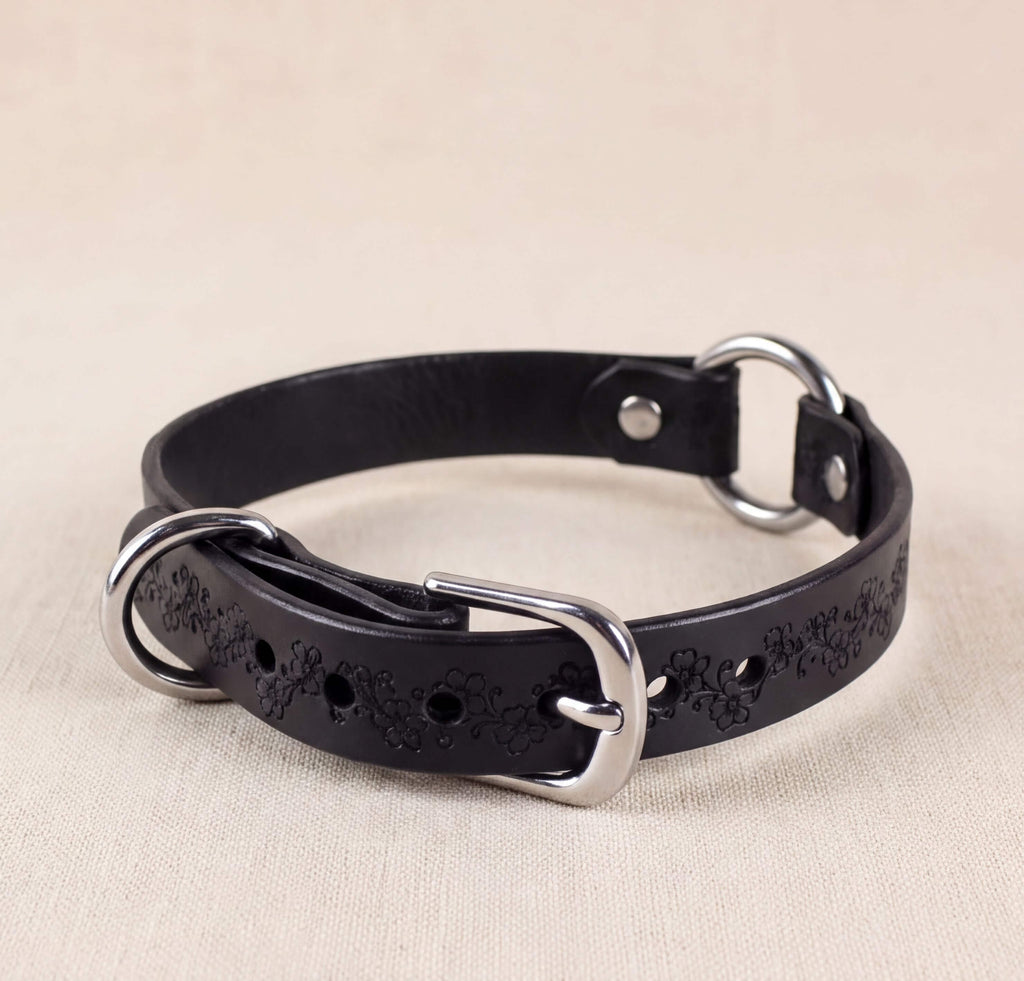 A black leather collar with a silver buckle and two metal rings.