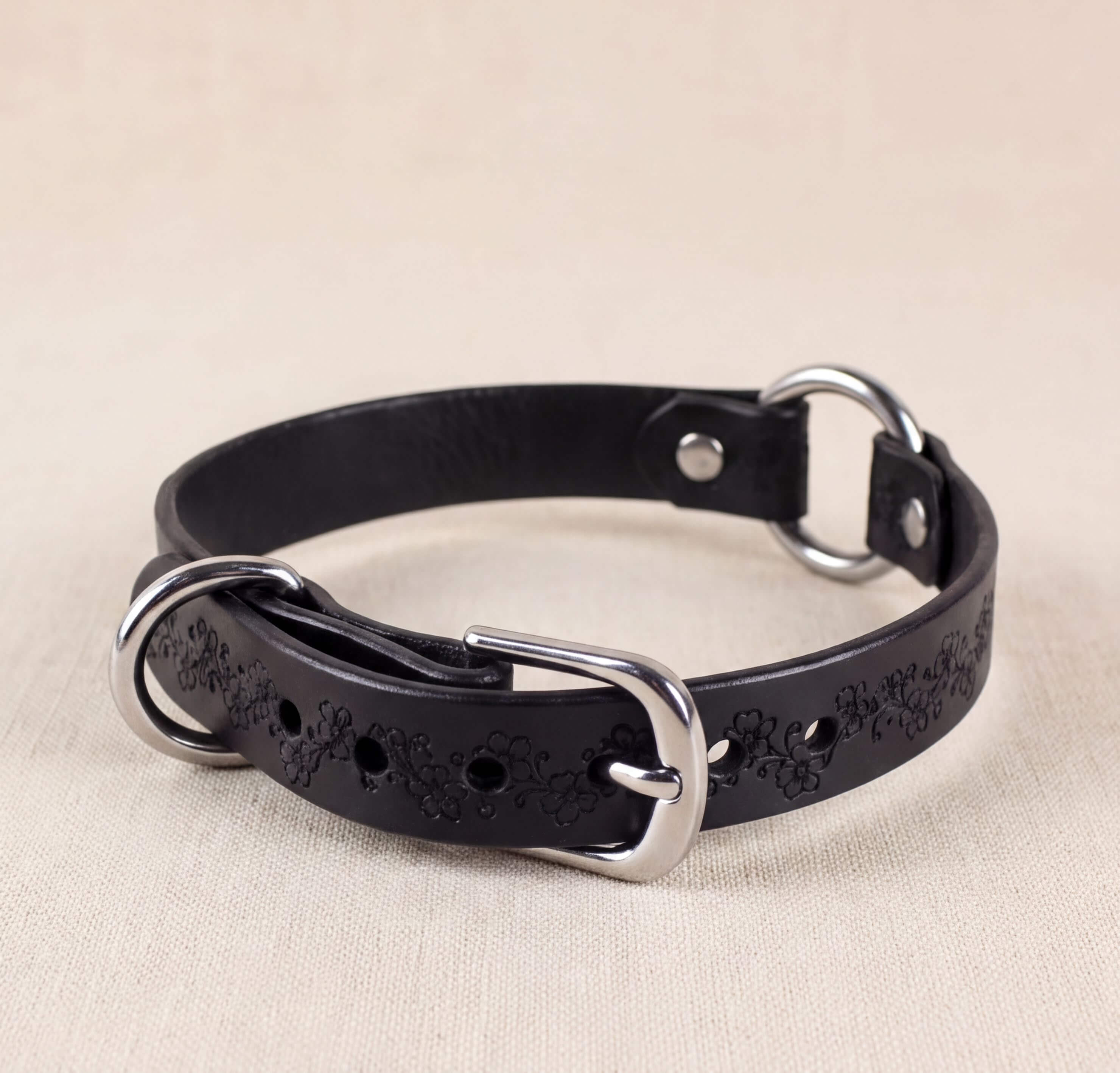 A black leather collar with a silver buckle and two metal rings.