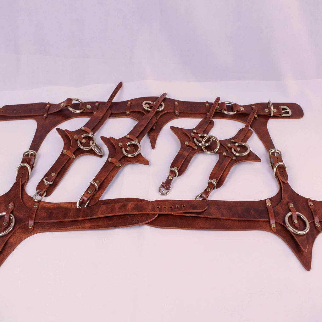 A collection of brown leather straps with metal rings and buckles, arranged in a pattern.