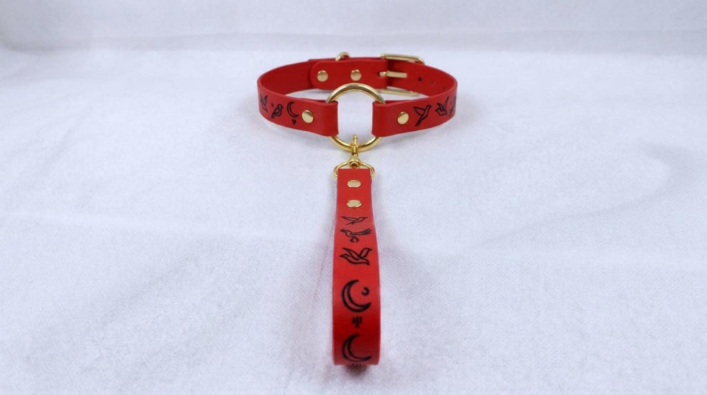 A red collar with a gold buckle and a black and white design on the handle is shown against a white background.