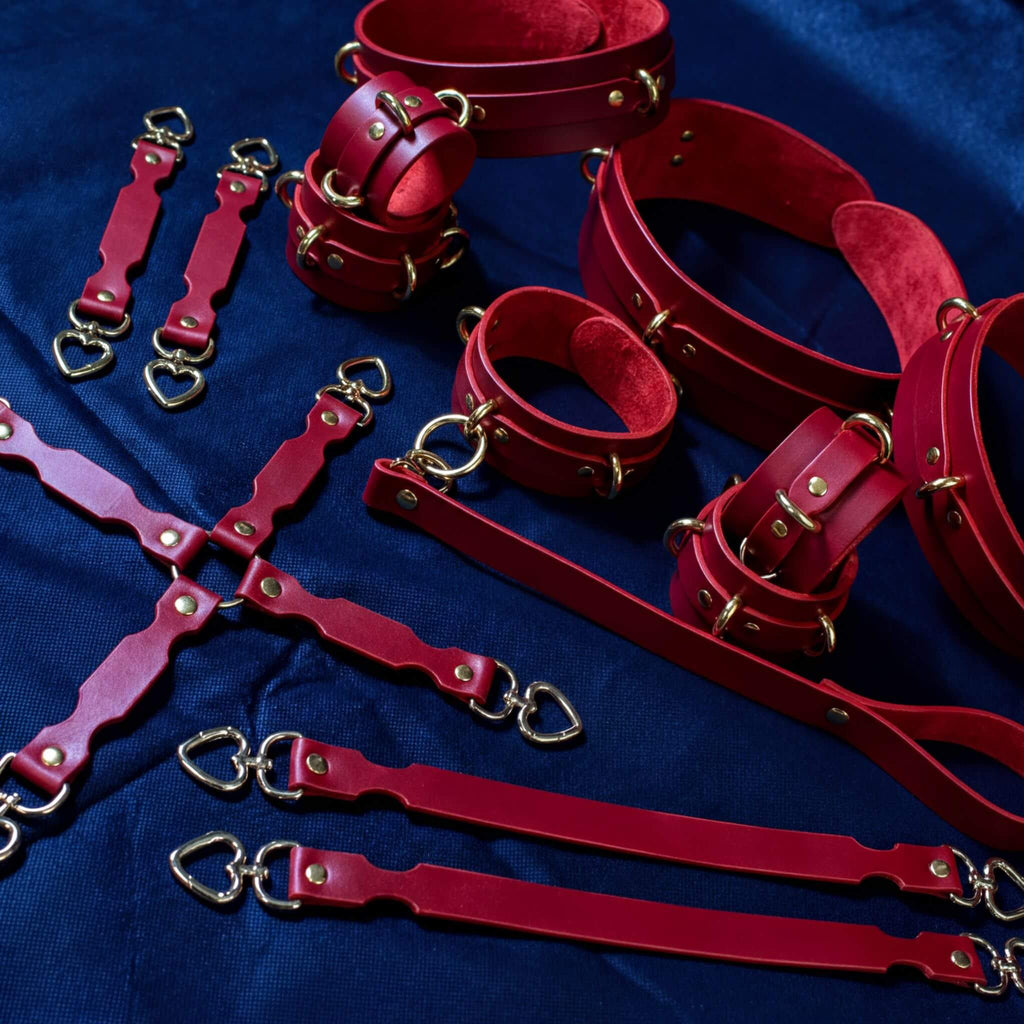 a collection of red leather straps and buckles arranged on a blue background.