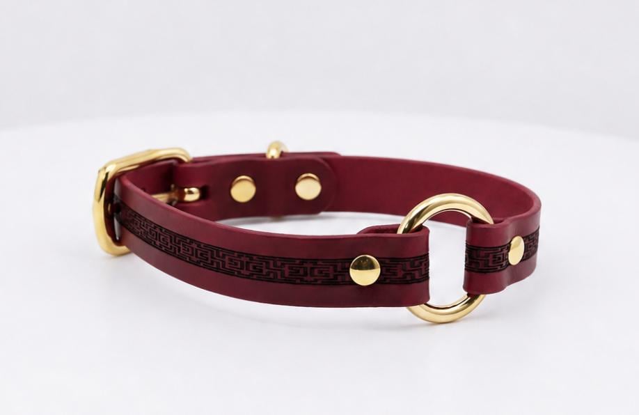 A burgundy leather dog collar with a gold-colored buckle and two gold-colored buckles.
