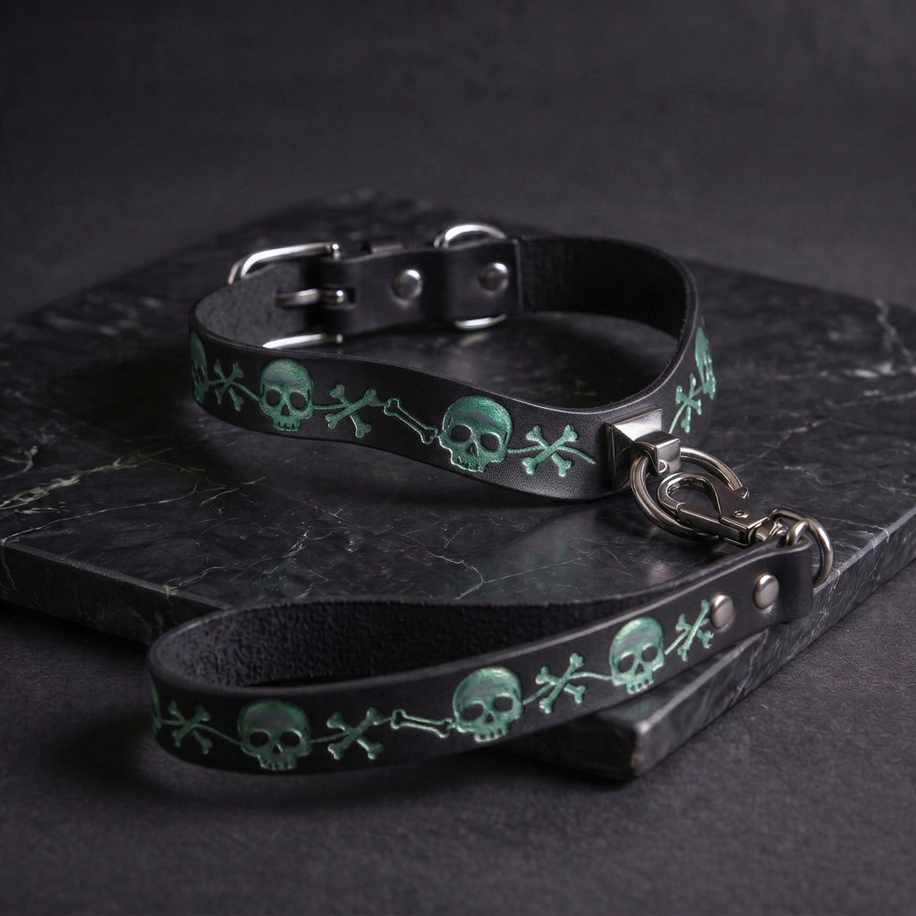 A black leather dog collar with a skull and crossbones pattern, and a matching leash attached to it, resting on a dark surface.