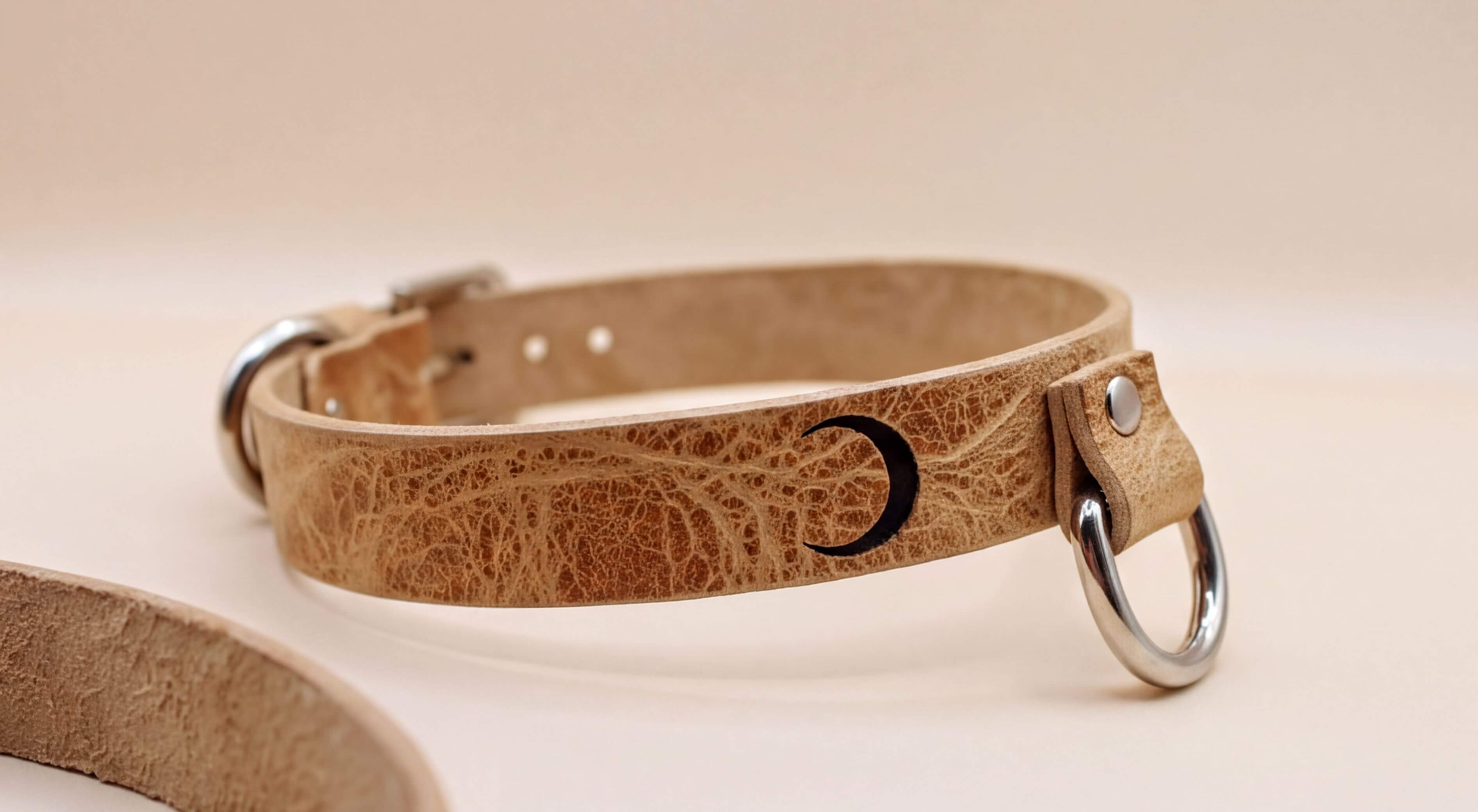 A tan leather collar with a silver metal buckle and a small black crescent moon symbol on the front.