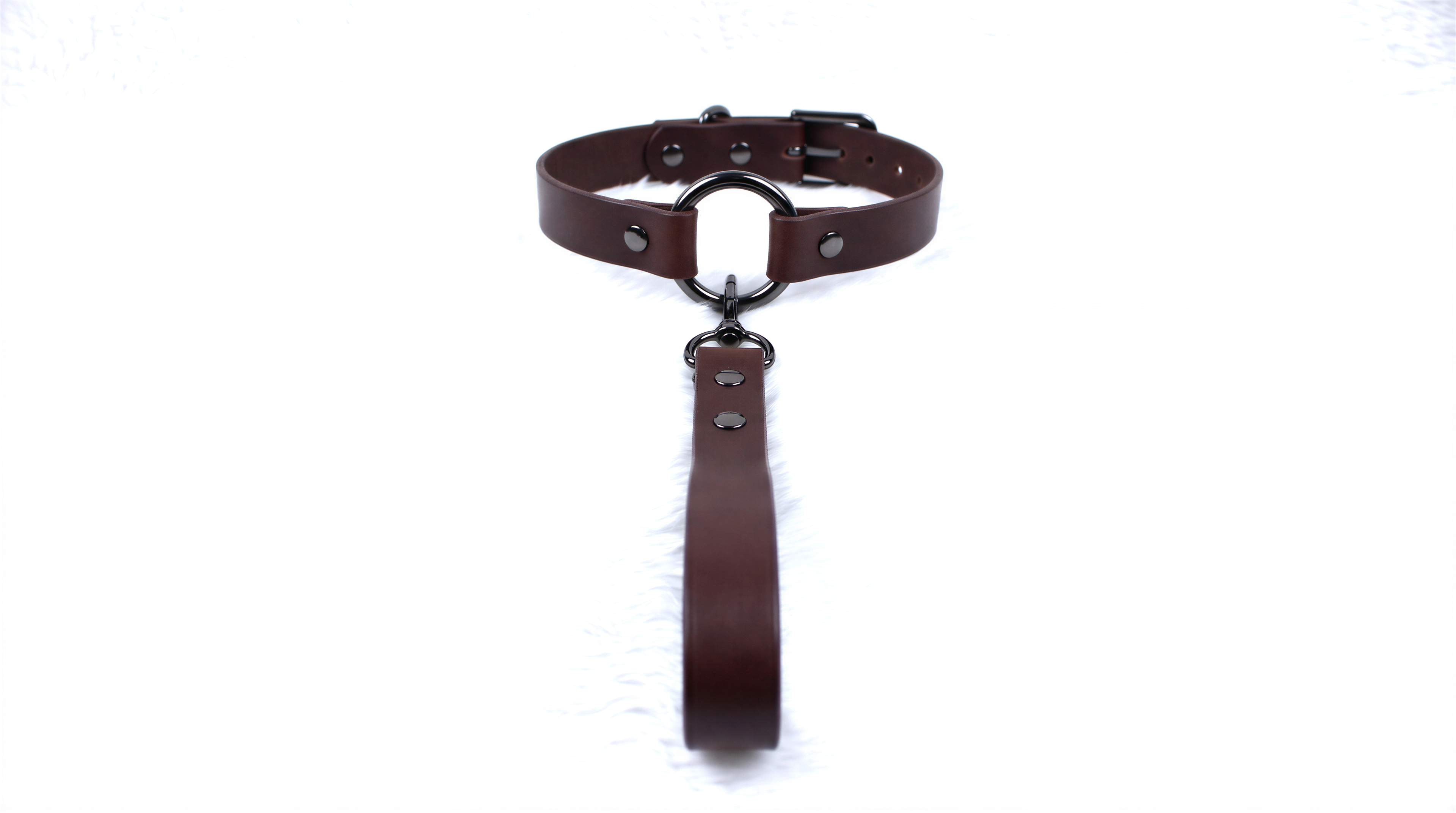 A brown leather collar with a metal buckle and a leather leash attached to it.