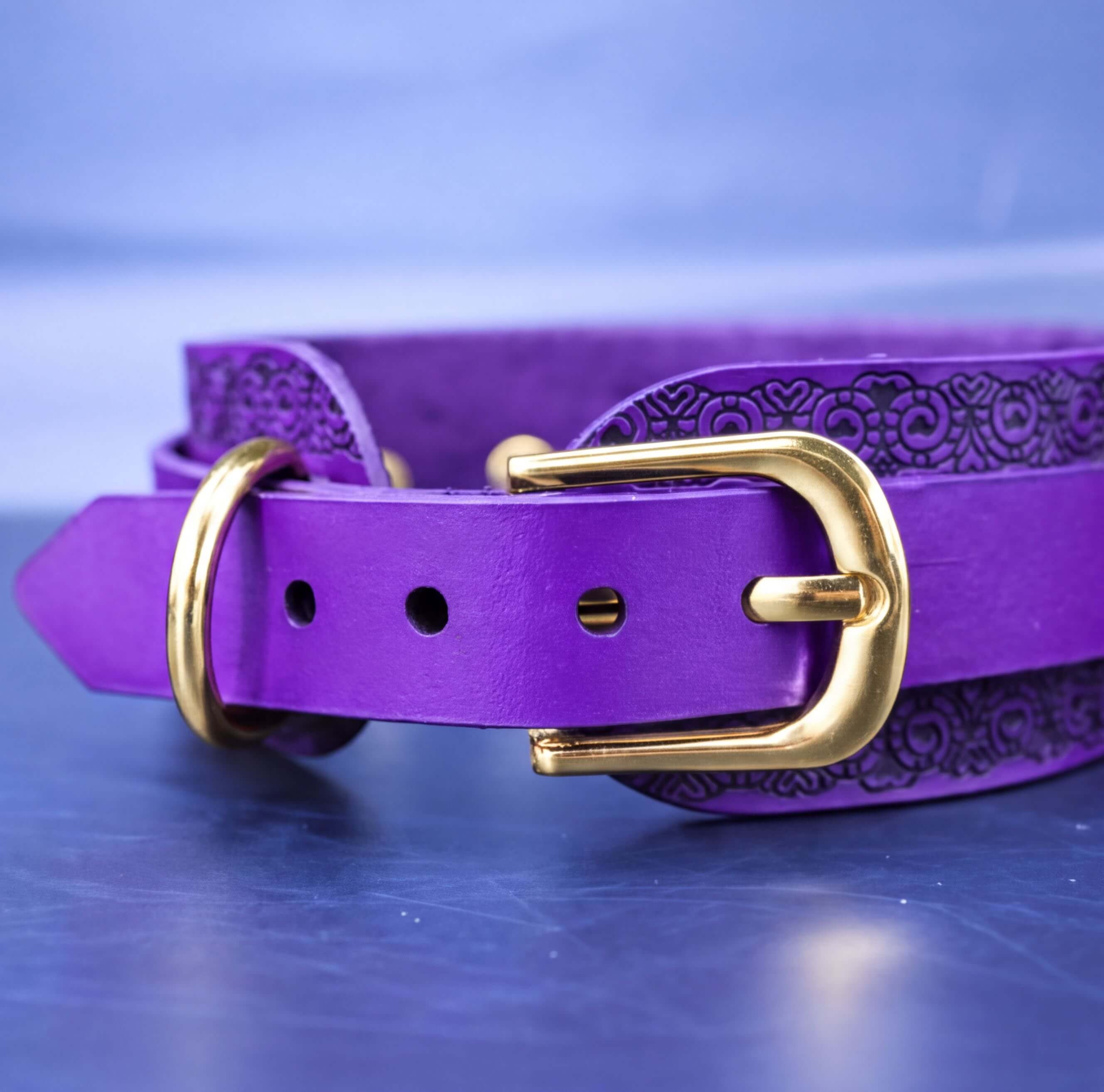 A close-up view of a purple leather collar with a gold buckle, resting on a blue surface.