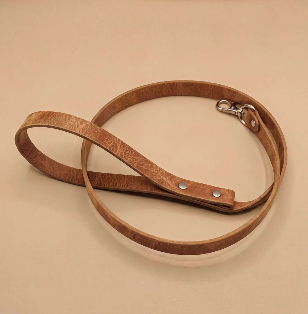 A brown leather dog leash with a metal clasp and buckle is shown on a beige surface.