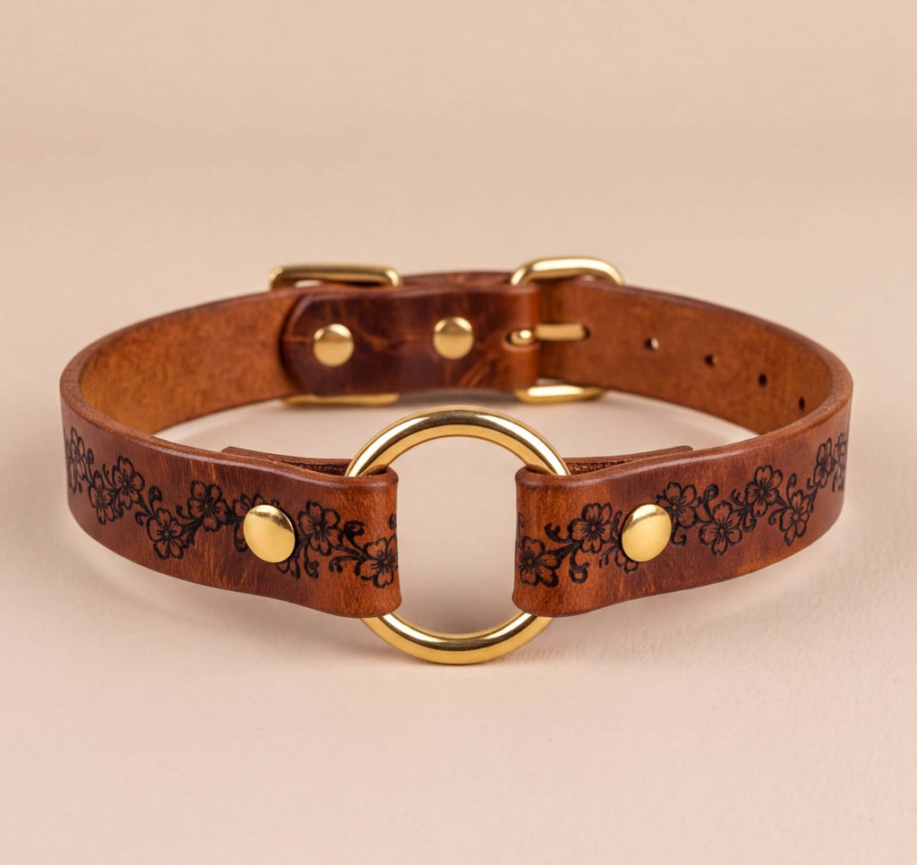 A brown leather collar with a gold-colored buckle and a floral design on the strap.