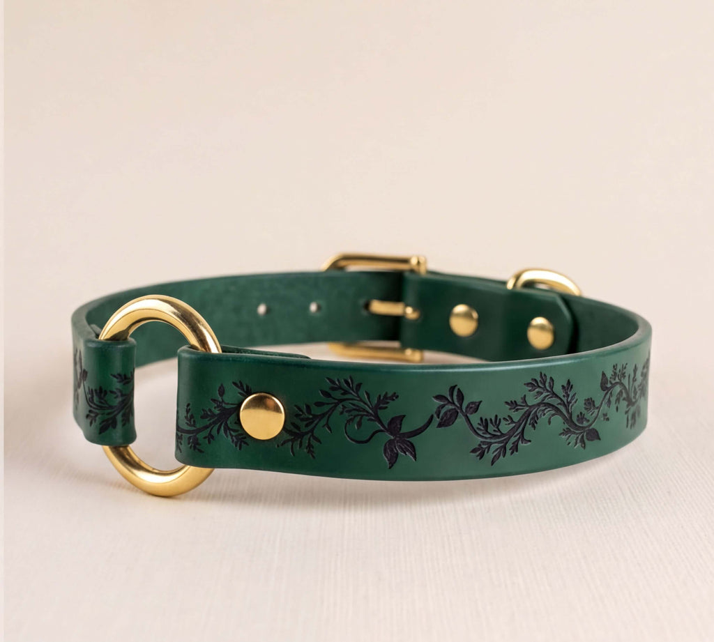 A green leather dog collar with a floral pattern and gold-colored metal rings.