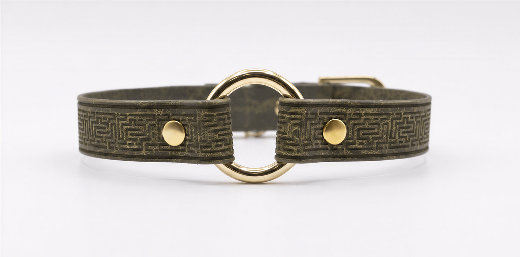 A dark green leather choker necklace with a gold-colored metal ring and two gold-colored metal fasteners.