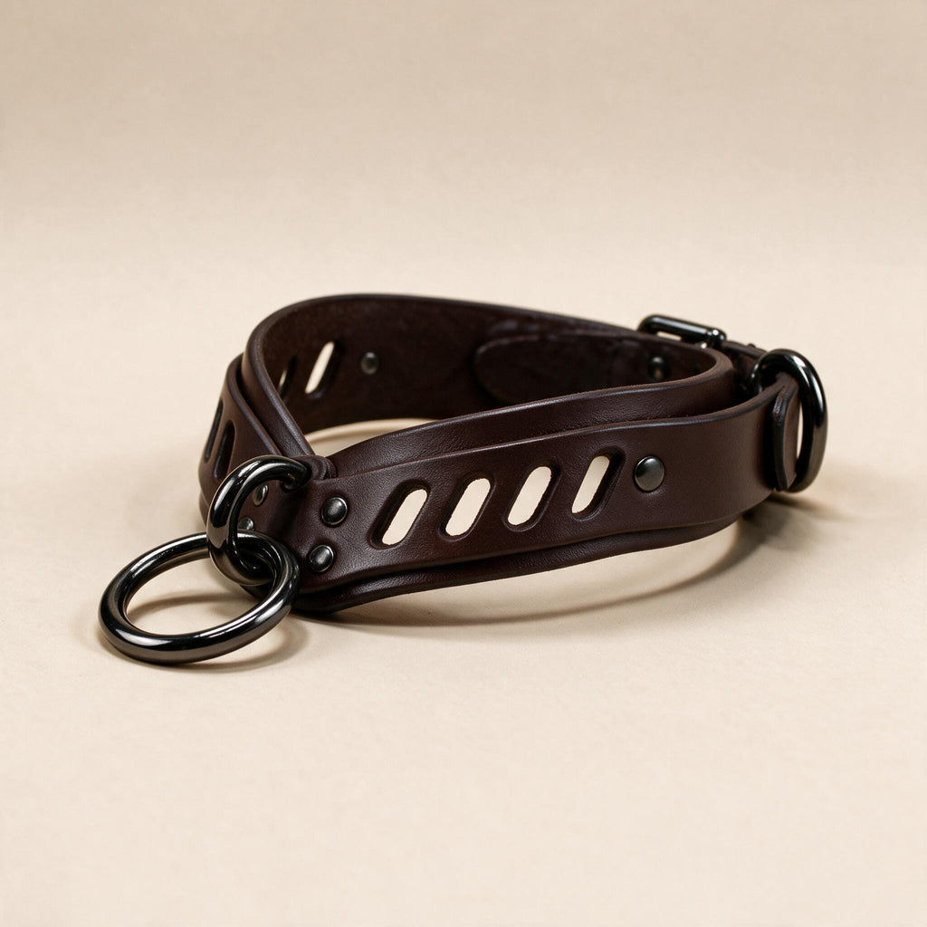 A brown leather choker collar with metal rings and a buckle.