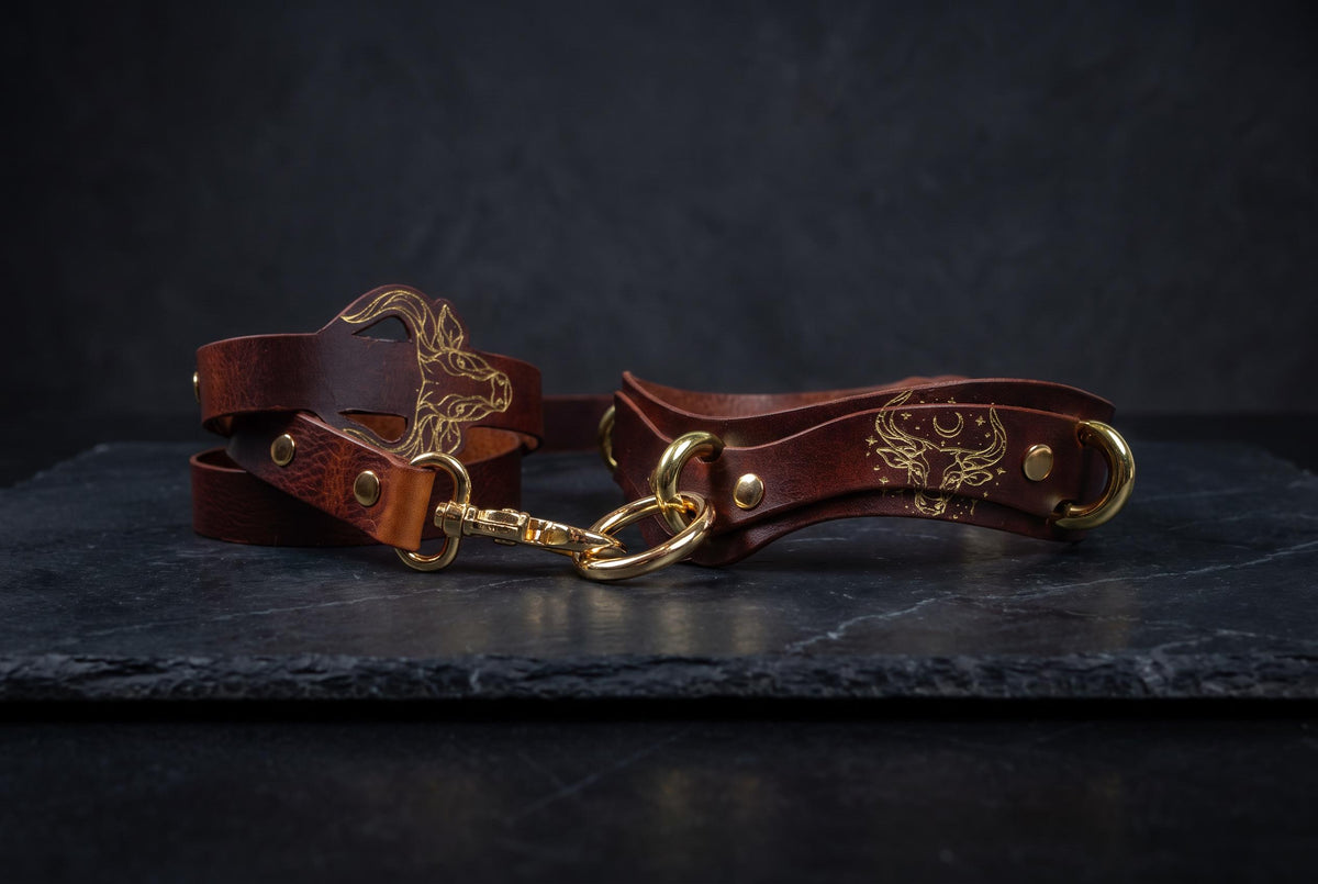 A brown leather leash with gold accents and a decorative design on the buckle is displayed on a dark surface.