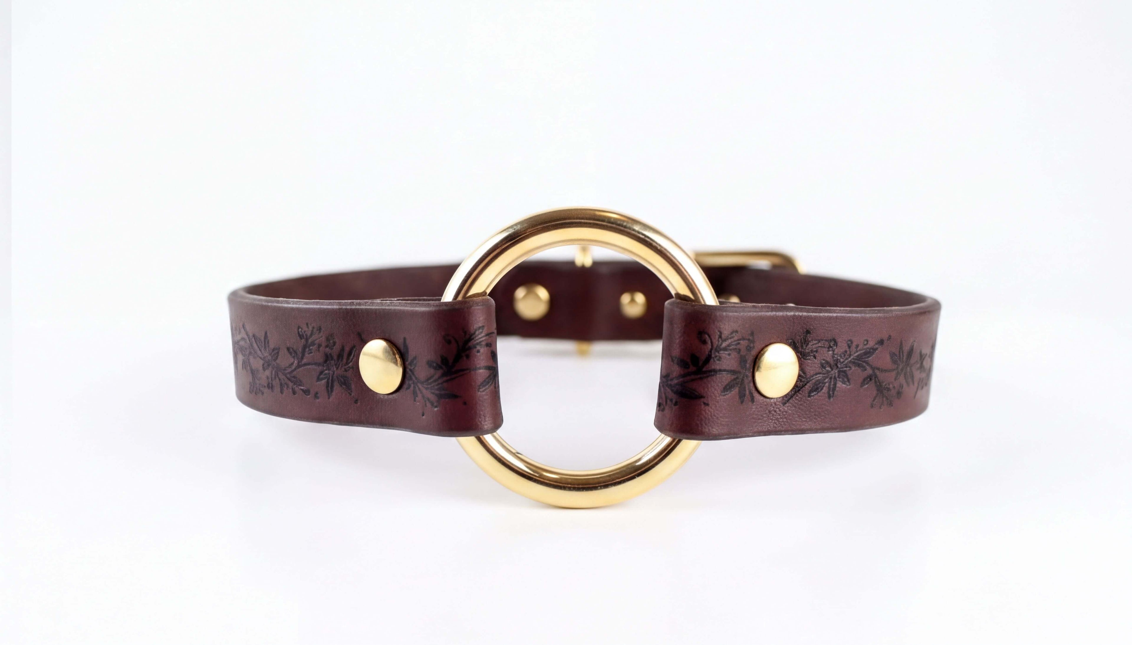 A brown leather choker necklace with a gold-colored circular buckle.