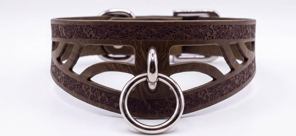 A close-up view of a brown leather choker collar with a metal ring and buckle.