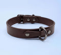A brown leather dog collar with metal hardware, including a buckle and two metal rings, is shown against a light blue background.