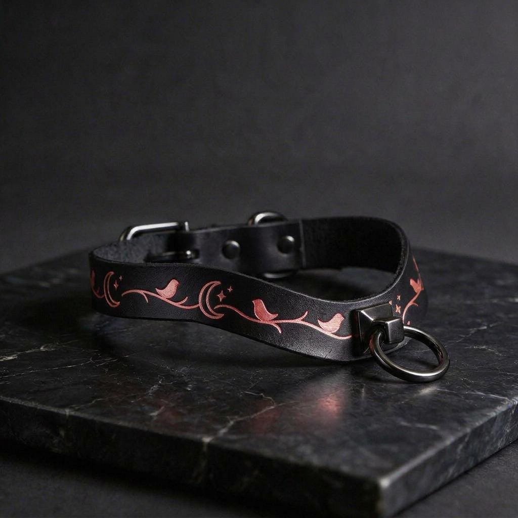 A black leather collar with a decorative pattern of birds and stars on a dark background.
