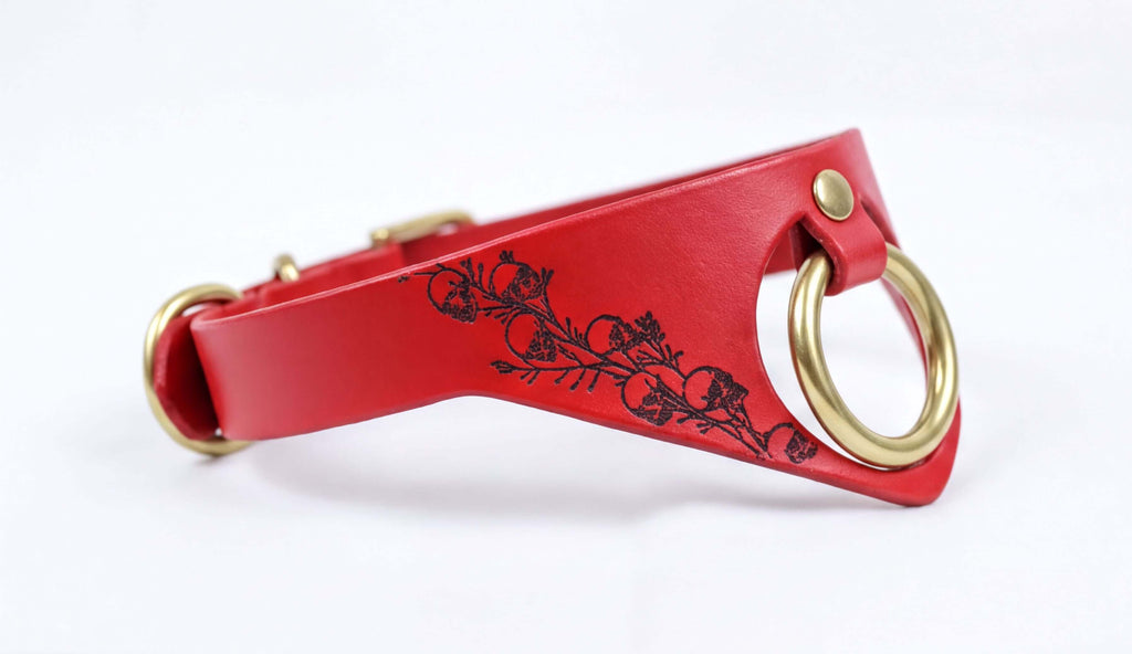 A red leather collar with a gold-colored metal ring and a floral design on the side.