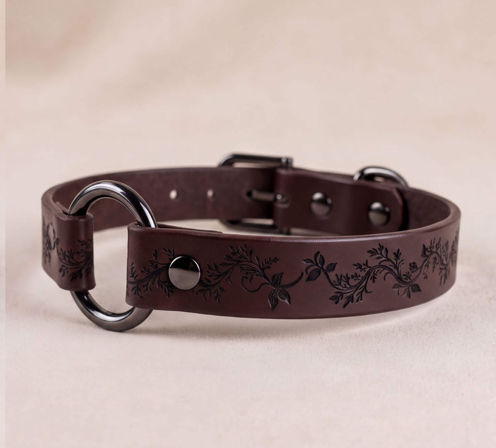 A brown leather dog collar with a floral pattern and metal rings.