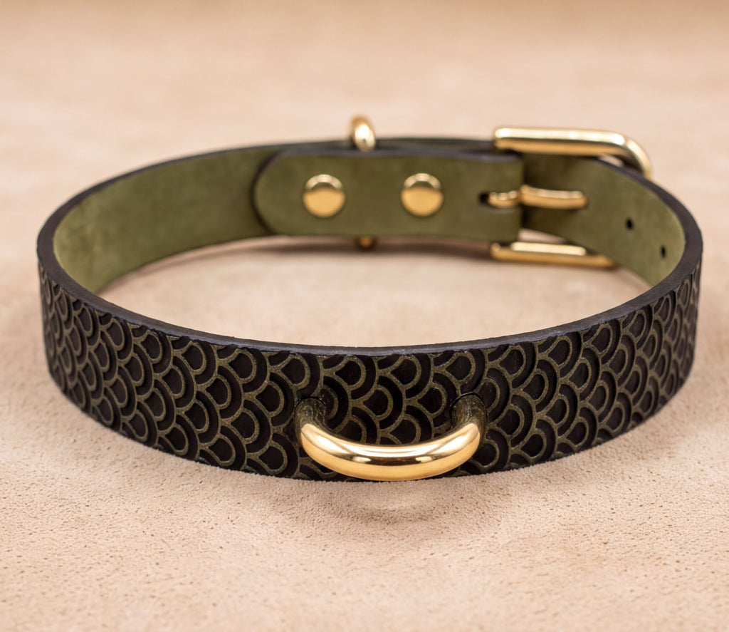 A black leather dog collar with a gold-colored buckle and handle.