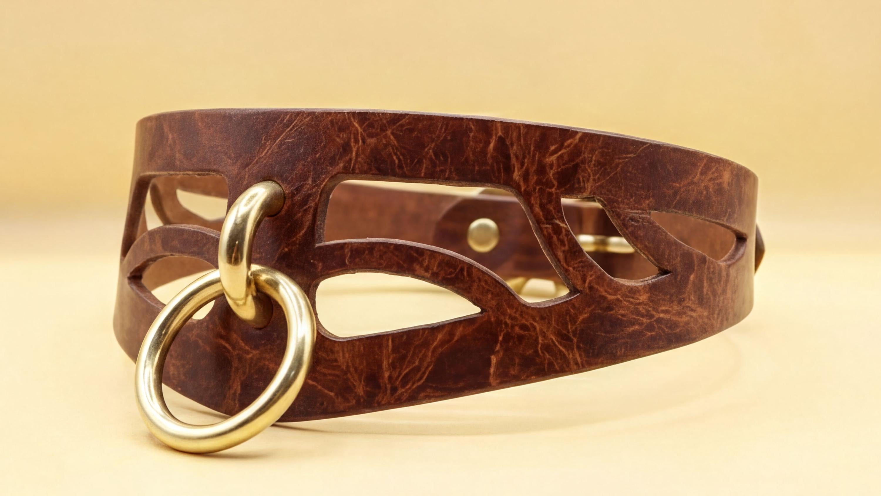 A brown leather choker necklace with a gold-colored metal ring and a cutout design.