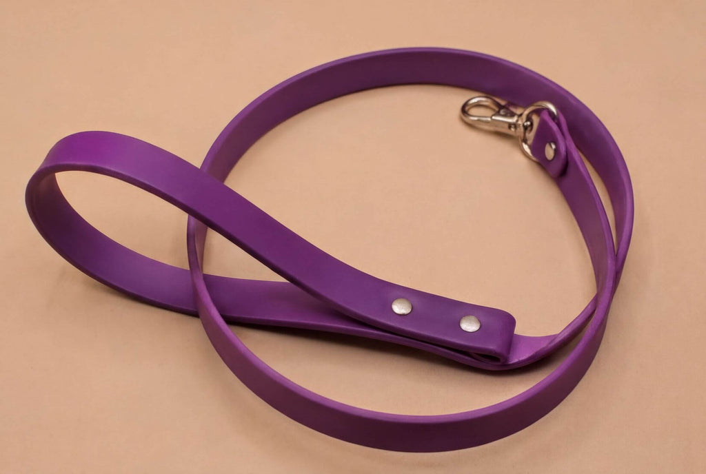 A purple leash with a metal attachment is shown on a beige background.
