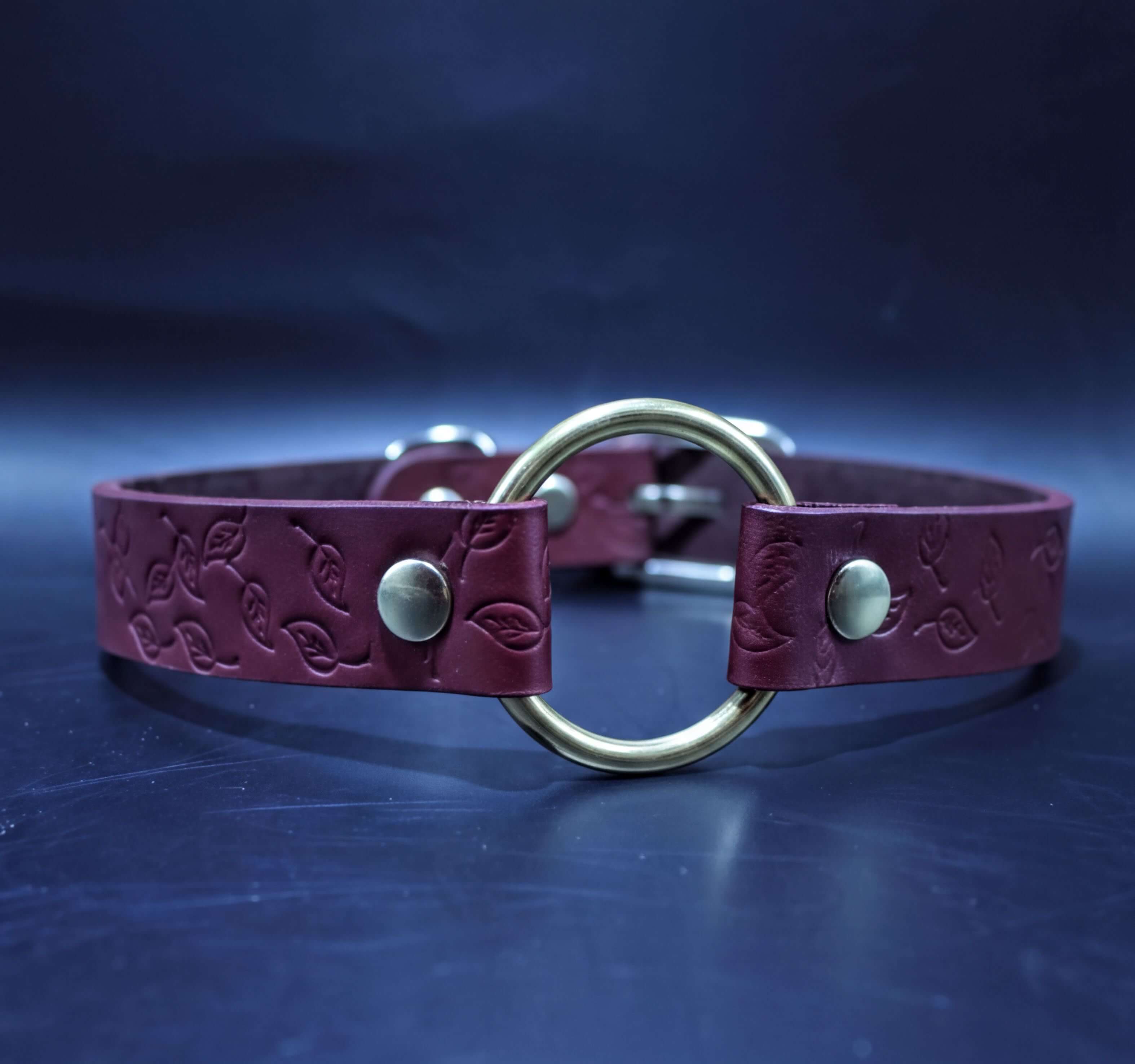 A burgundy leather collar with a gold-colored circular buckle is displayed against a dark blue background.
