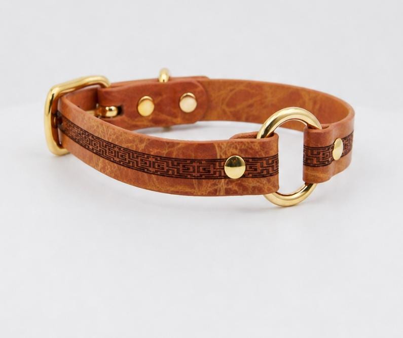 A brown leather dog collar with a gold-colored buckle and two metal rings.