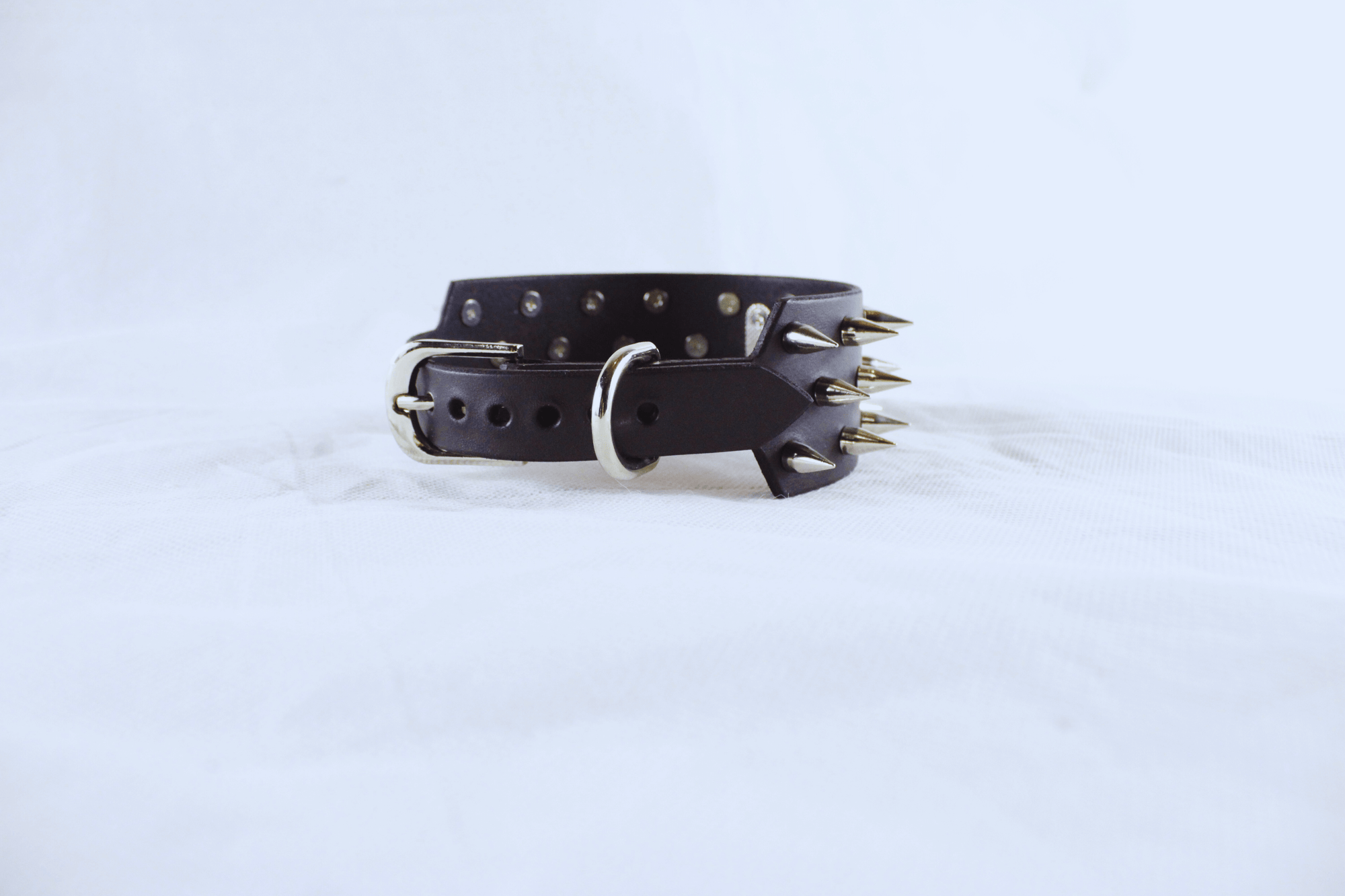 Dominion Leather Collar – Spiked BDSM Posture Collar Choker with polished spikes and premium leather craftsmanship.