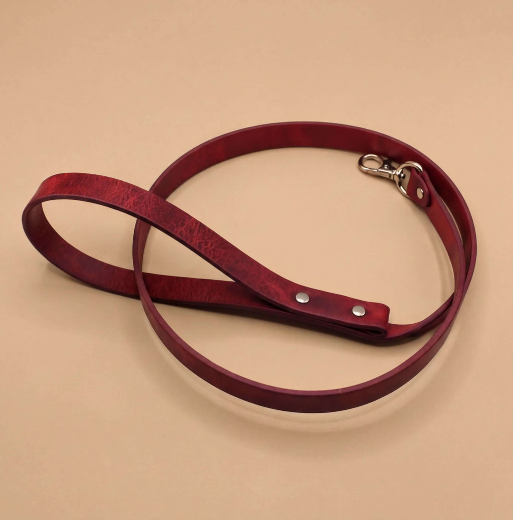 A red leather leash with a metal clasp is shown against a beige background.