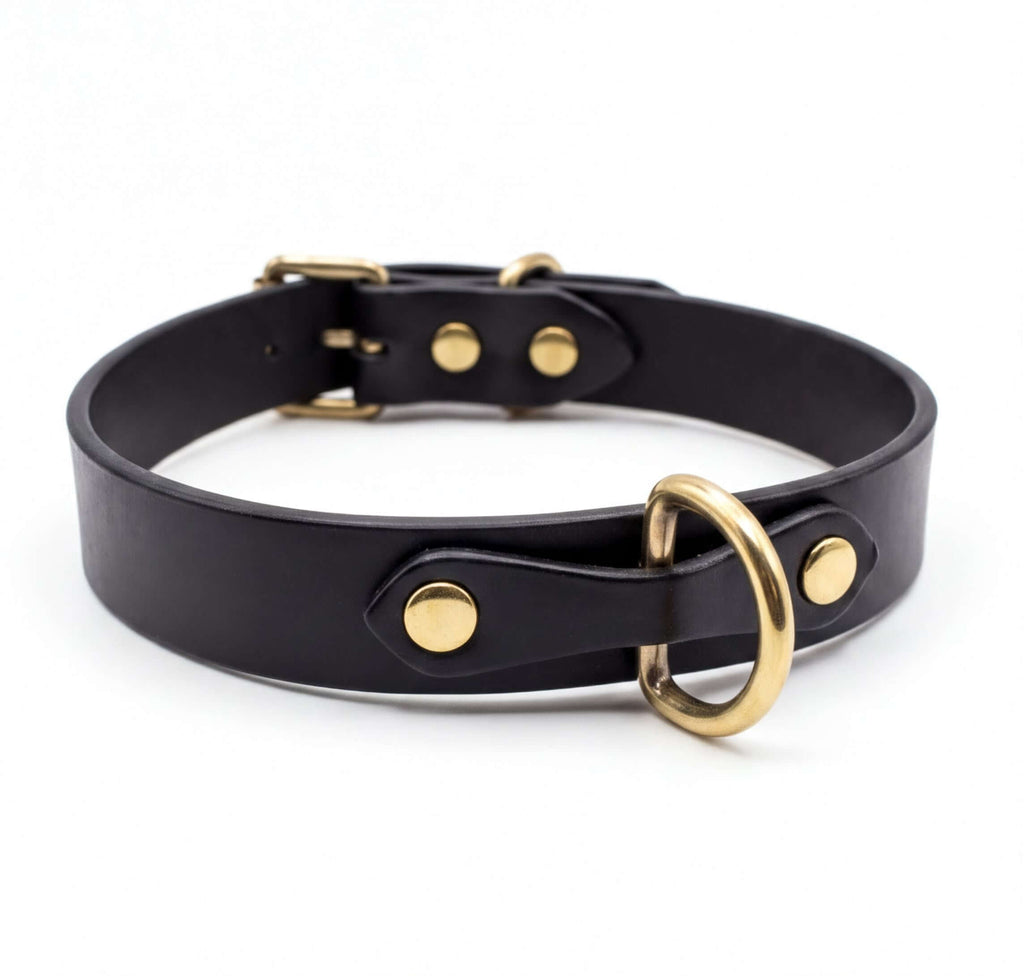 A black leather collar with a gold-colored metal buckle and ring.