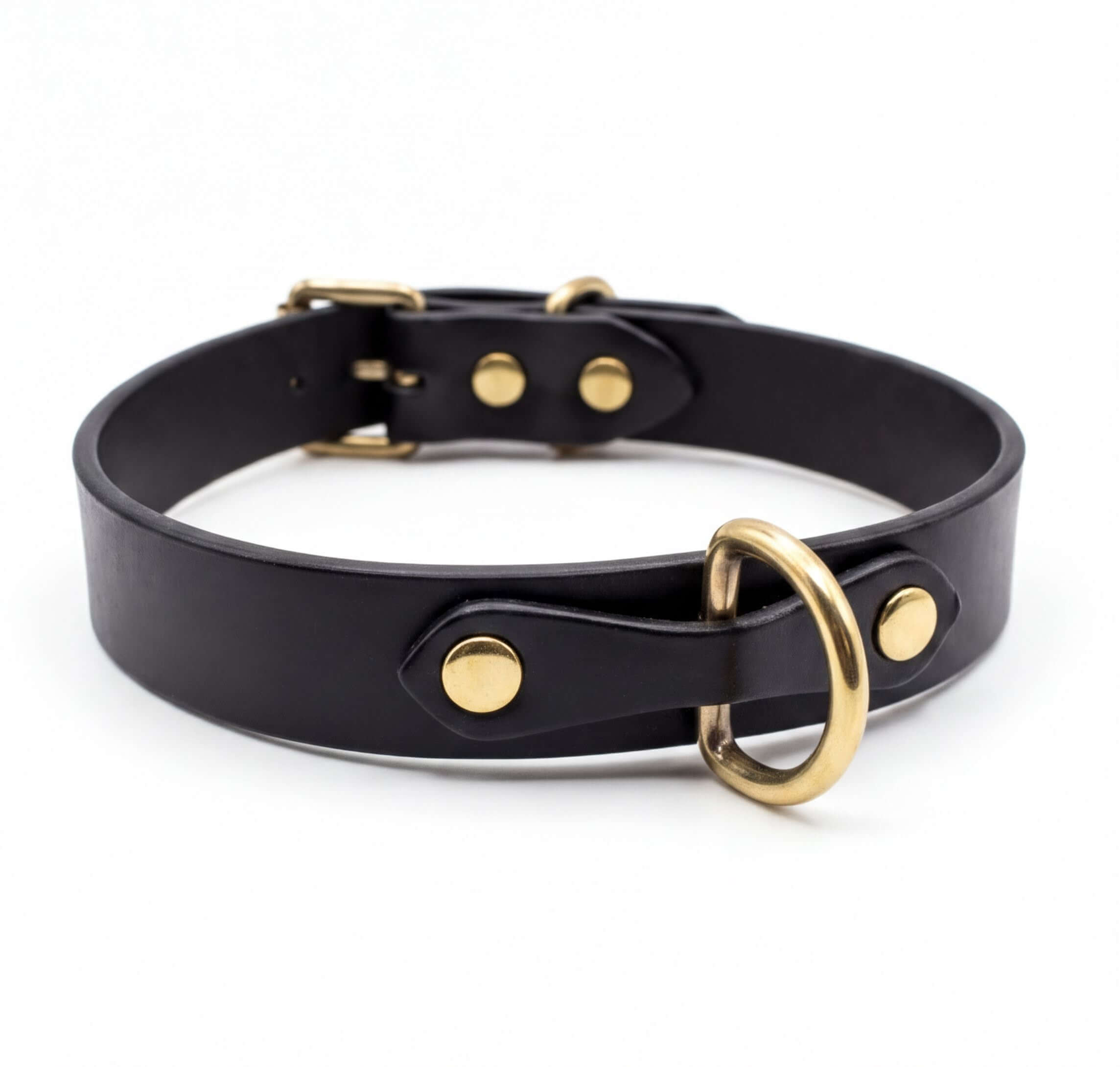 A black leather collar with a gold-colored metal buckle and ring.