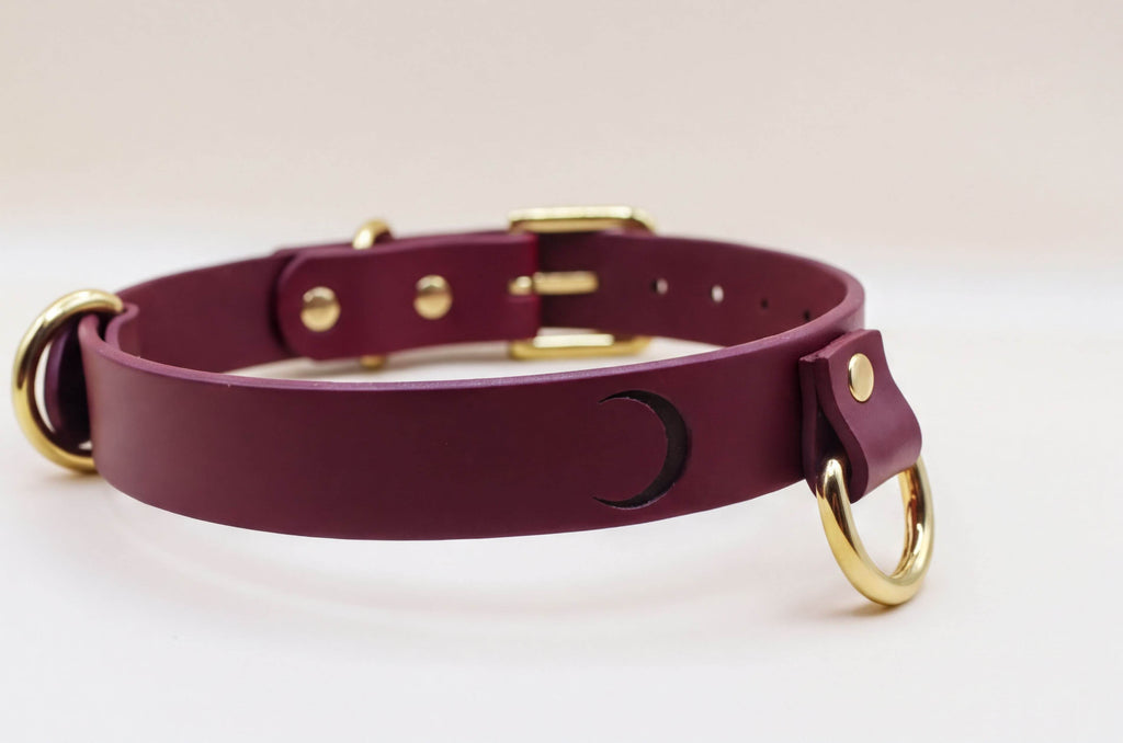 A burgundy leather collar with gold-colored metal rings and buckles.