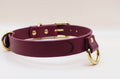 A burgundy leather collar with gold-colored metal rings and buckles.