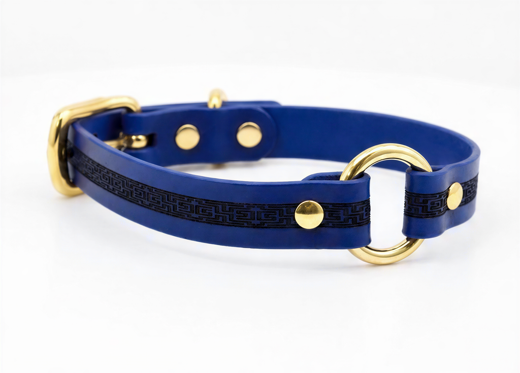A blue dog collar with a gold buckle and two gold rings.