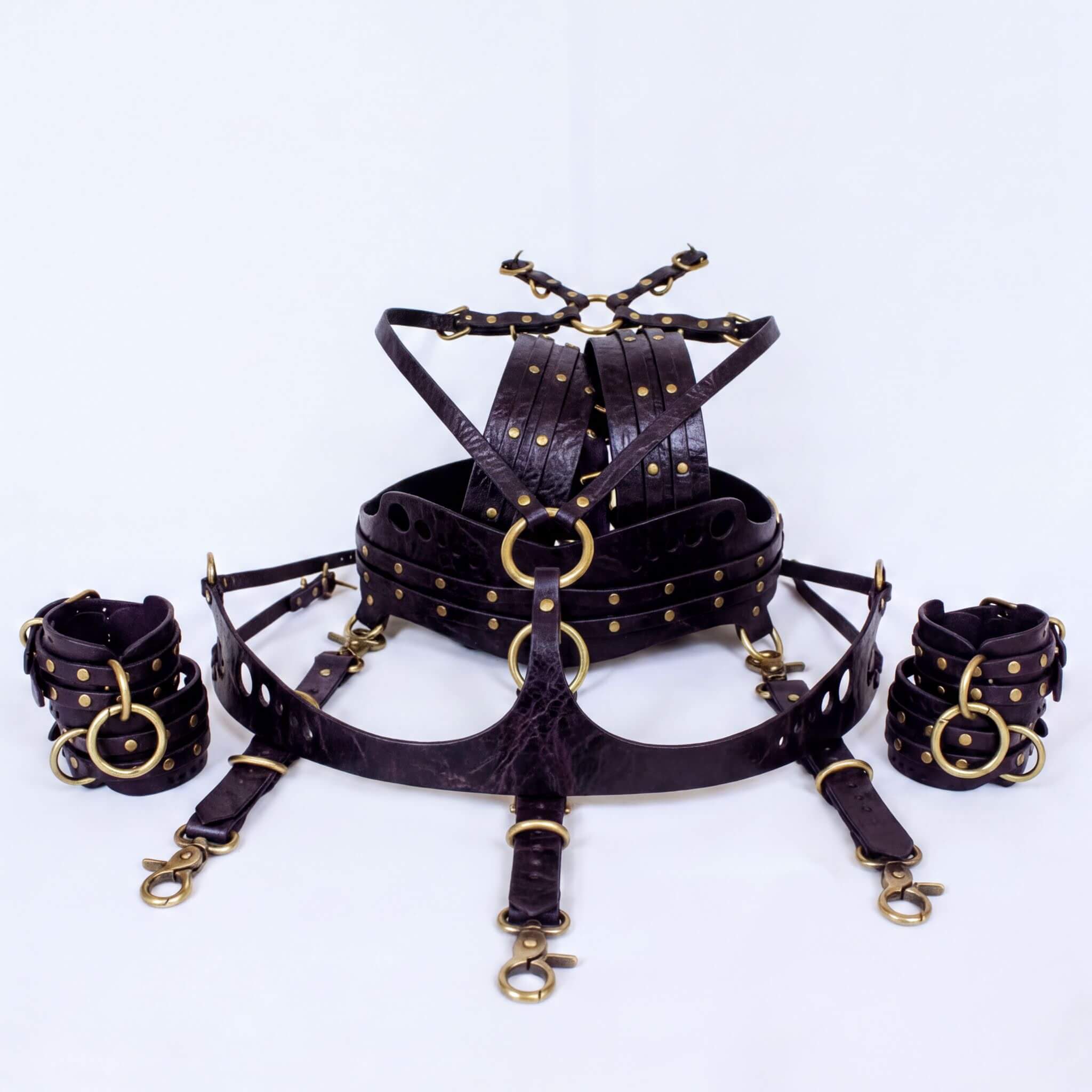 A set of leather straps and buckles, likely used for BDSM or BDSM-related activities.