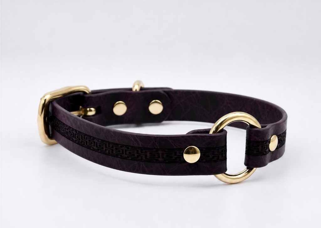 A purple leather dog collar with a gold buckle and two gold-colored rings.