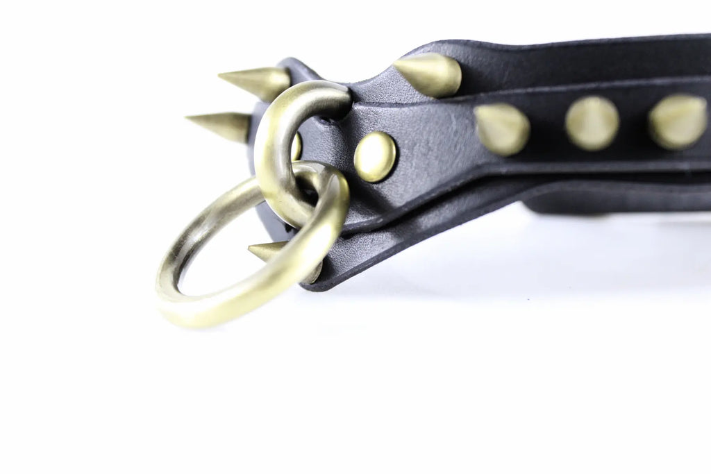 A close-up view of a black leather collar with gold-colored spikes protruding from it.