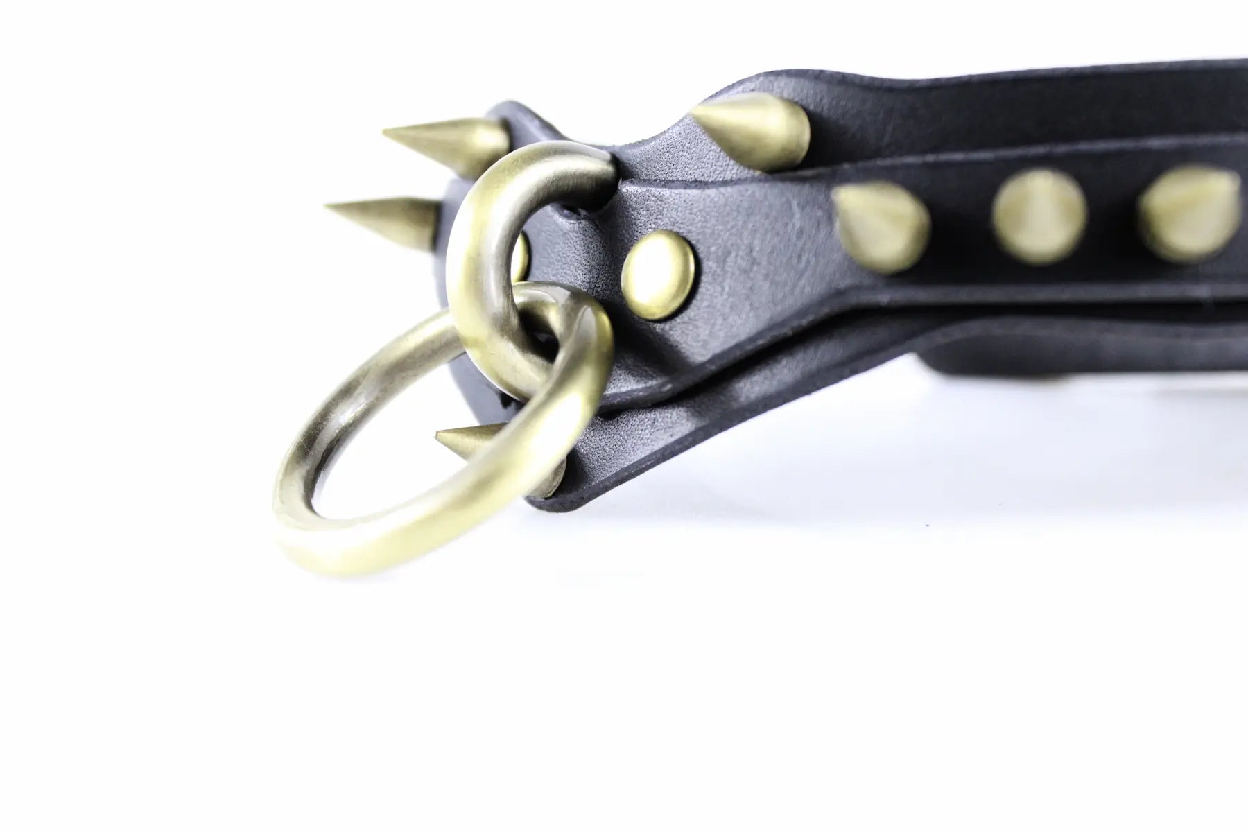 A close-up view of a black leather collar with gold-colored spikes protruding from it.