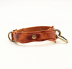 A brown leather collar with metal rings and a buckle, displayed against a white background.