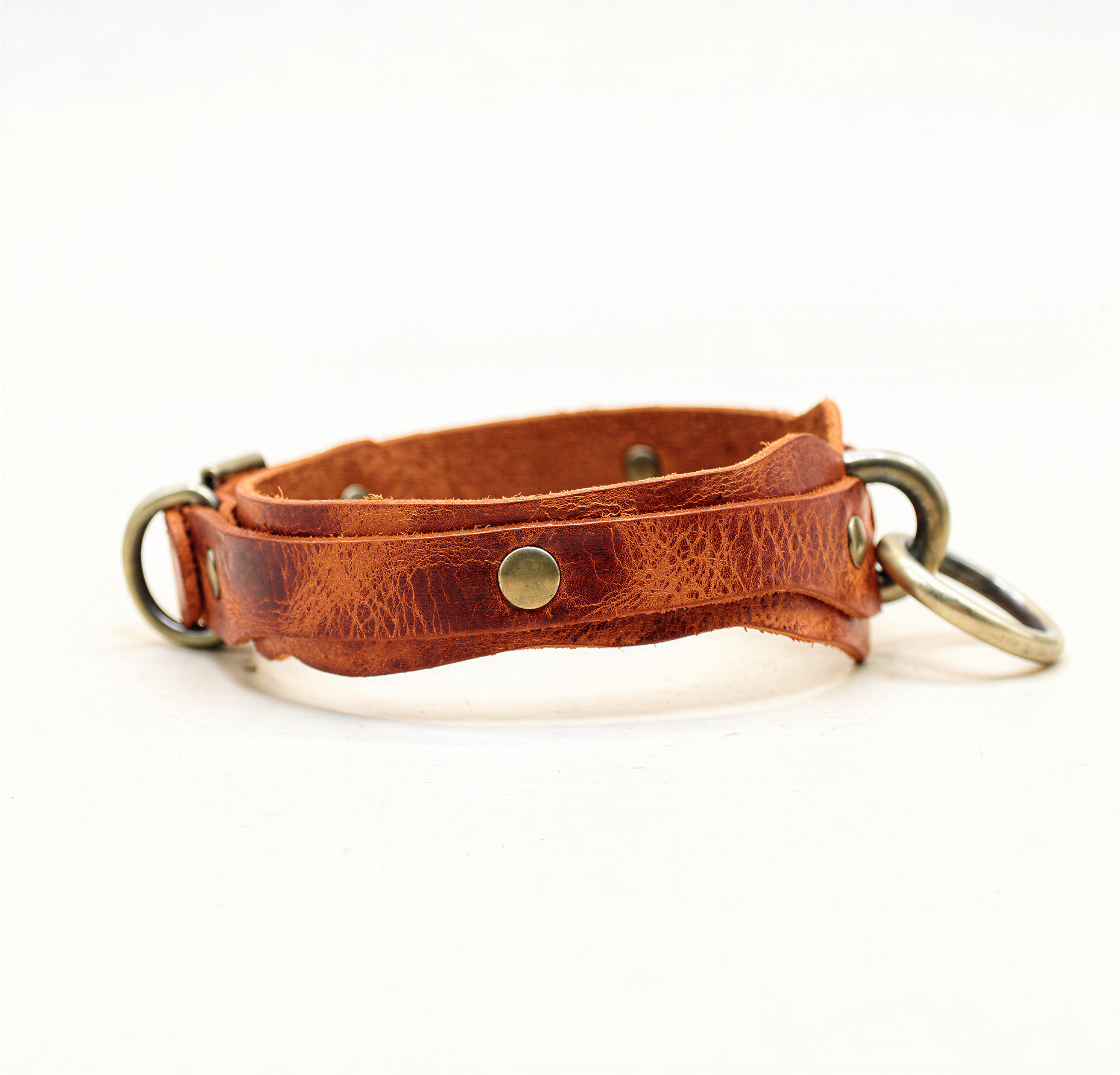 A brown leather collar with metal rings and a buckle, displayed against a white background.