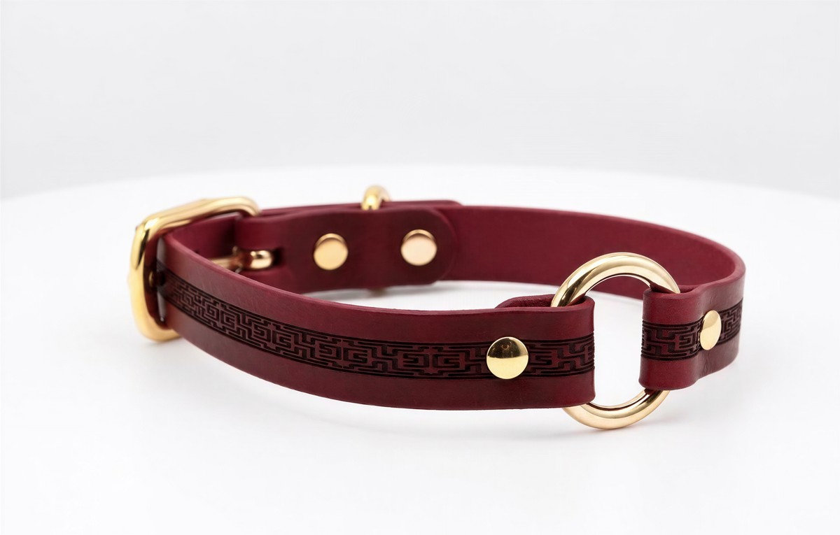 A burgundy leather dog collar with a gold-colored buckle and a circular metal ring.