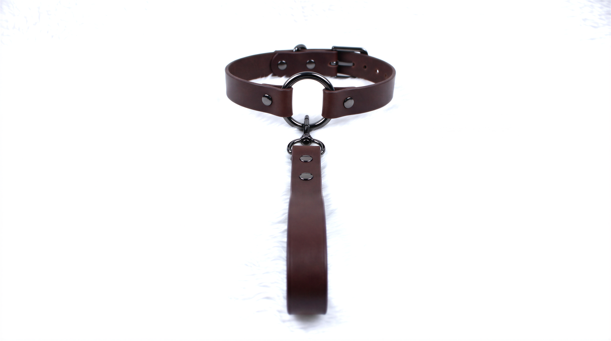 A brown leather collar with a metal buckle and a leather leash attached to it.